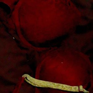 34D Victorias Secret Women’s Bra